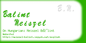 balint meiszel business card